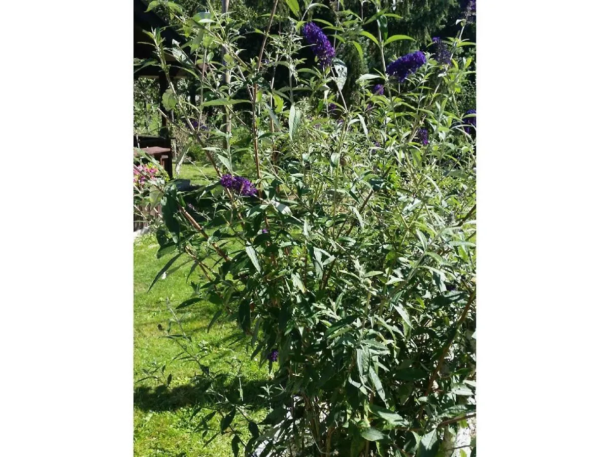 펜션 Gerda'S Ferienhaeuser Eppenschlag