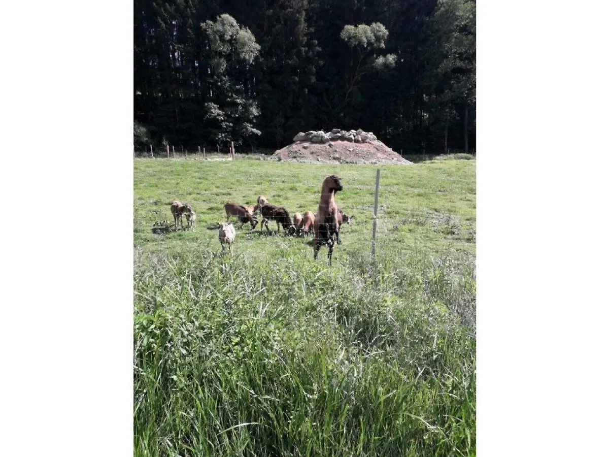 Gerda'S Ferienhaeuser Eppenschlag 펜션